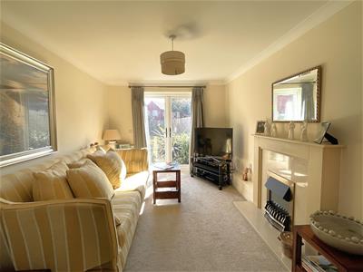 Picture 7